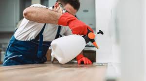 Best Termite Inspection and Treatment  in Dekal, IL